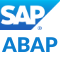 SAP ABAP Developer